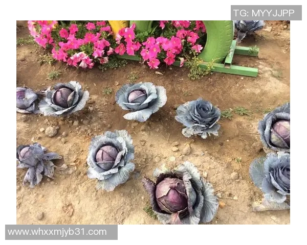 足球明星搞笑跑姿大揭秘让你捧腹大笑的瞬间合集