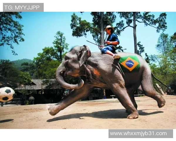 那些长得像动物的足球明星们你能认出几个吗