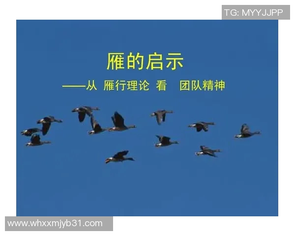 足球明星默契配合的智慧箴言与团队精神的深刻启示