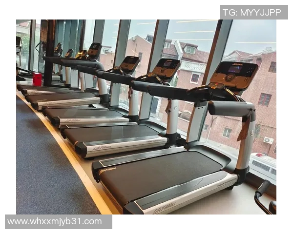 中老年健身器材的选择与使用指南助您健康快乐每一天